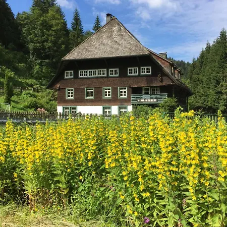 Historische Sagemuhle Neukirch (Black Forest)